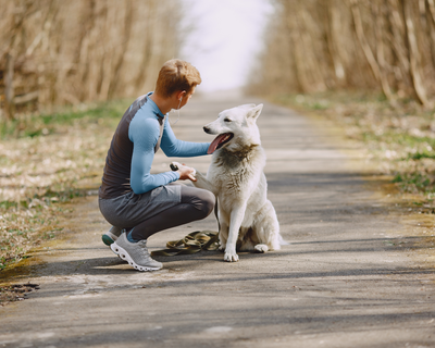 It's Time to Get Physical! The Easy Workout Plan You Can Do with Your Dog.
